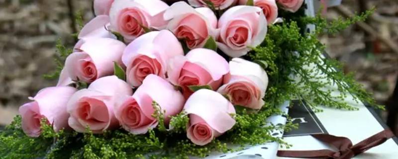 21朵粉玫瑰花代表什么意思