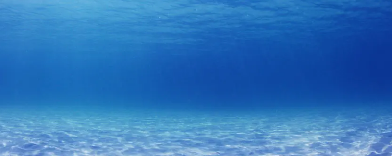 海洋和陆地哪个面积大