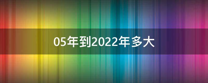 05年到2022年多大