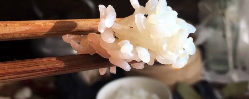 香弹煮饭需要多少时间