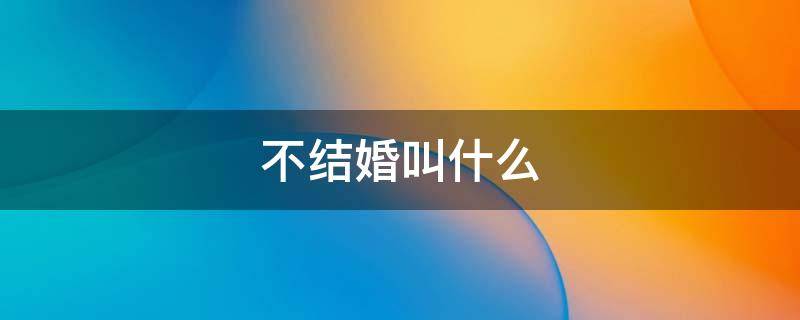 不结婚叫什么