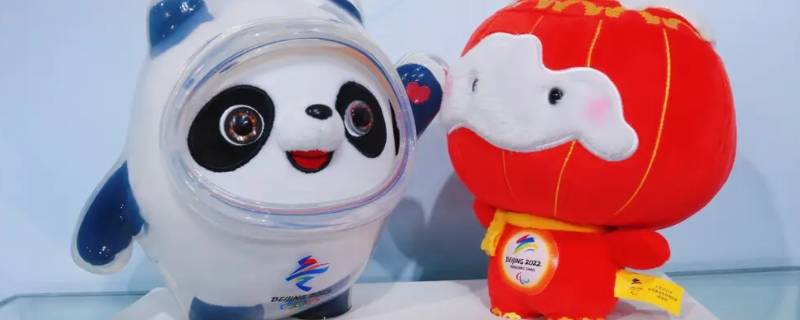 冰墩墩什么样子的