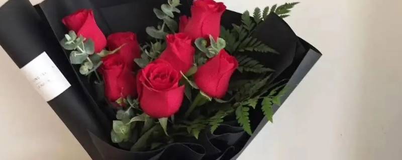 送6朵玫瑰花是什么意思
