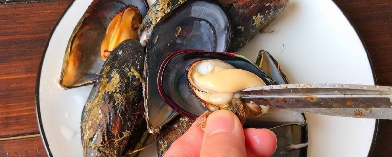 海虹开口就熟了吗