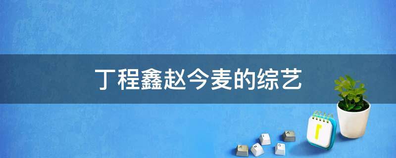 丁程鑫赵今麦的综艺