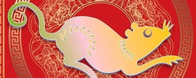 属鼠人的婚姻与命运如何