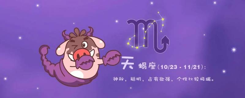 格局大看得长远的星座