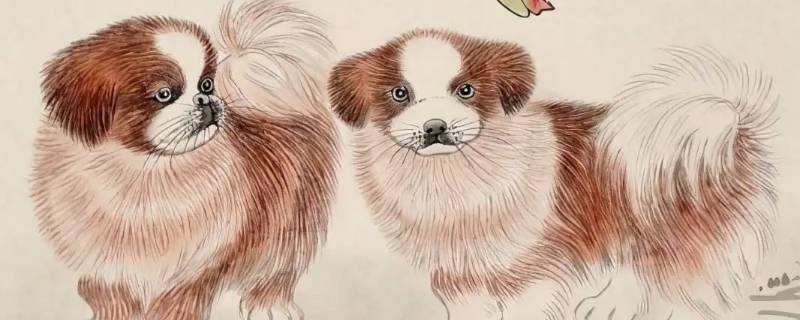 鸡龙相合二八出猜生肖