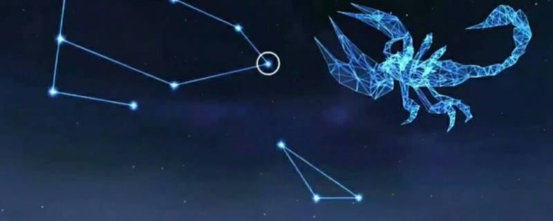 聪明到腹黑的星座