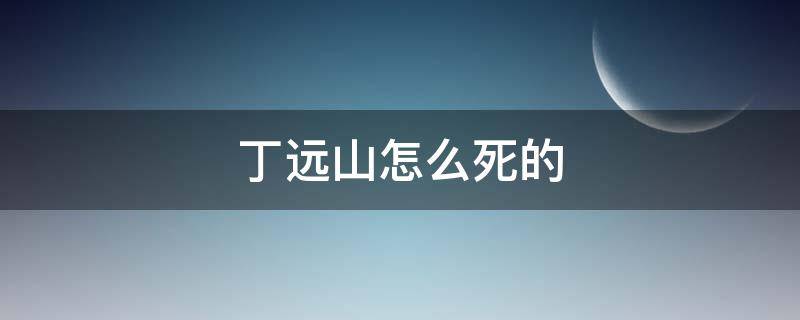 丁远山怎么死的