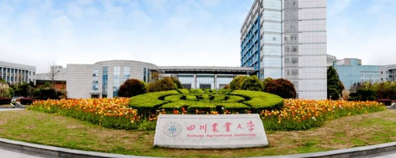 四川农业大学5612是啥