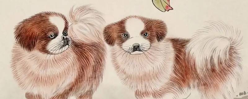 财源滚滚永不穷的生肖