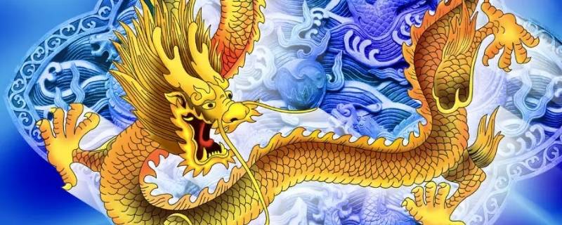 属龙干什么工作最好