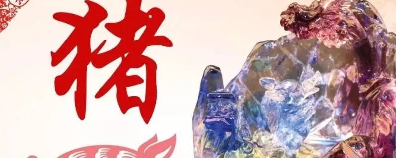 属猪人的婚姻大忌