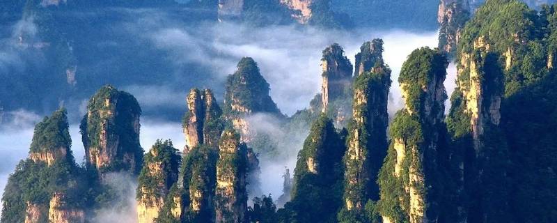 天子山下去可以坐电梯吗