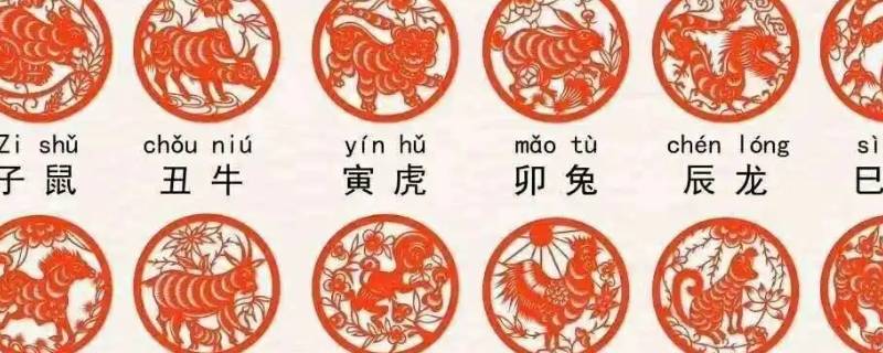 12生肖住几楼最旺