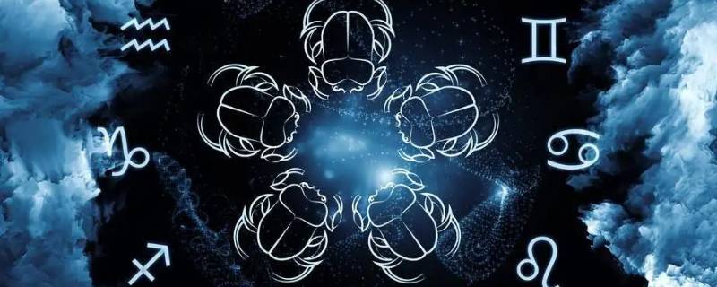 精明不会吃亏的星座