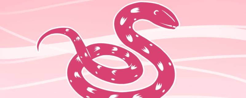 属蛇人的婚姻与命运如何