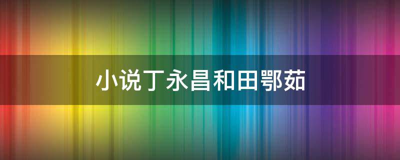 小说丁永昌和田鄂茹