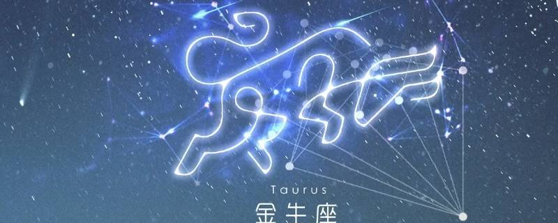未来最有本事的星座