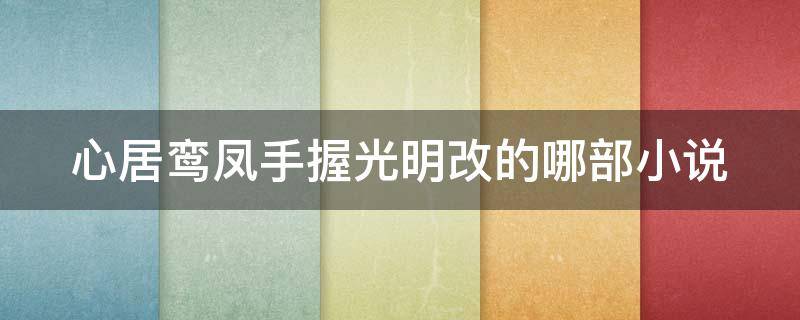 心居鸾凤手握光明改的哪部小说