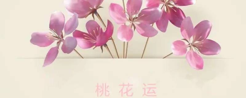 最容易招烂桃花的属相