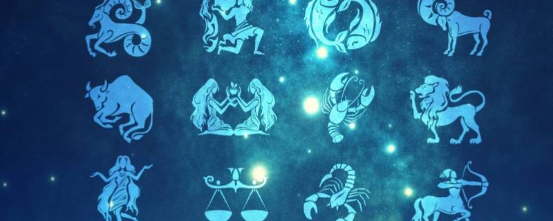 聪明至极的星座