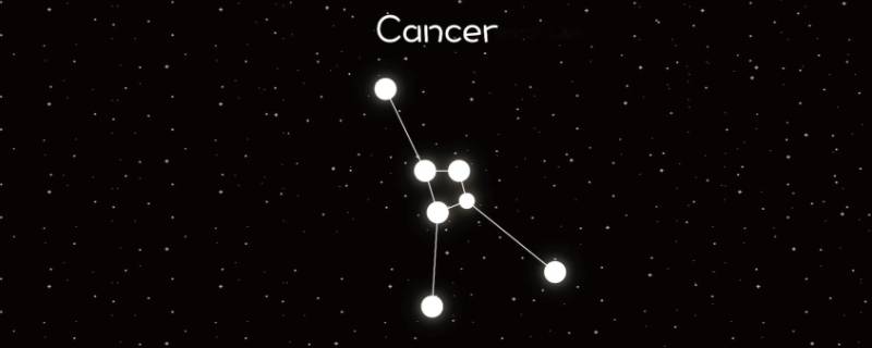 越低调就越高贵的星座
