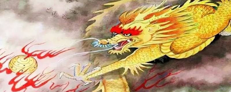 为什么属龙不能带金