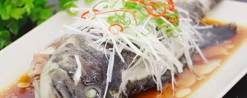 蒸石斑鱼一般蒸几分钟