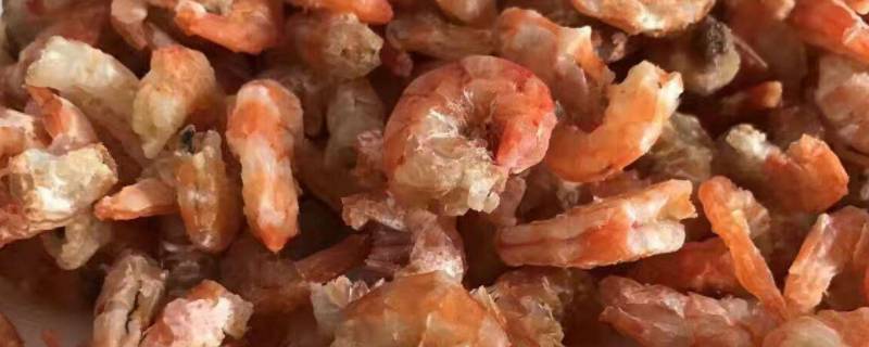 干虾仁要泡多长时间