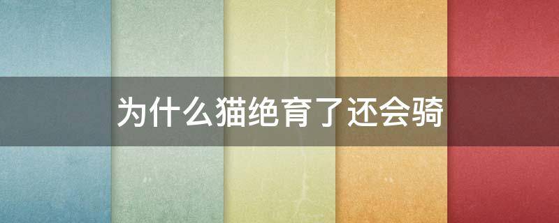 为什么猫绝育了还会骑