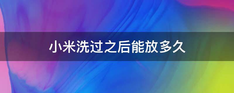 小米洗过之后能放多久