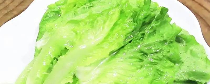 生菜长什么样