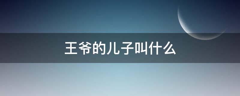 王爷的儿子叫什么