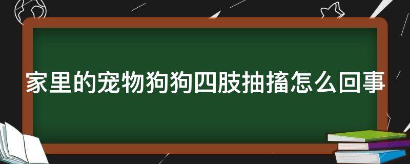 家里的宠物狗狗四肢抽搐怎么回事