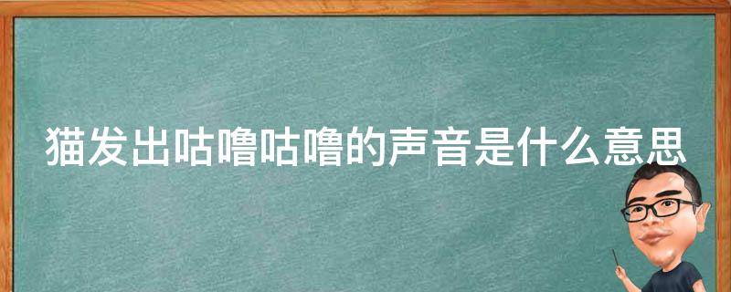 猫发出咕噜咕噜的声音是什么意思