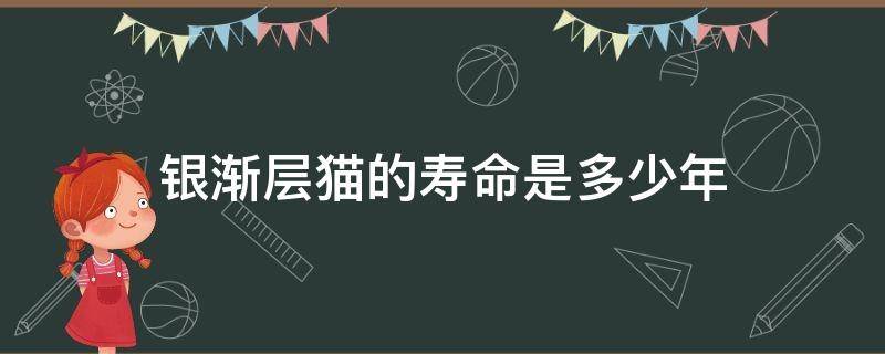 银渐层猫的寿命是多少年
