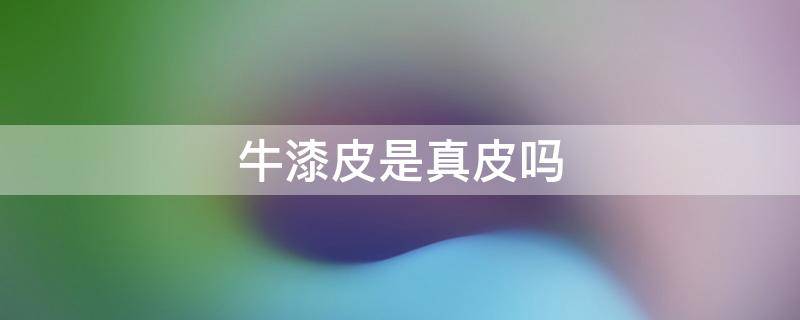 牛漆皮是真皮吗