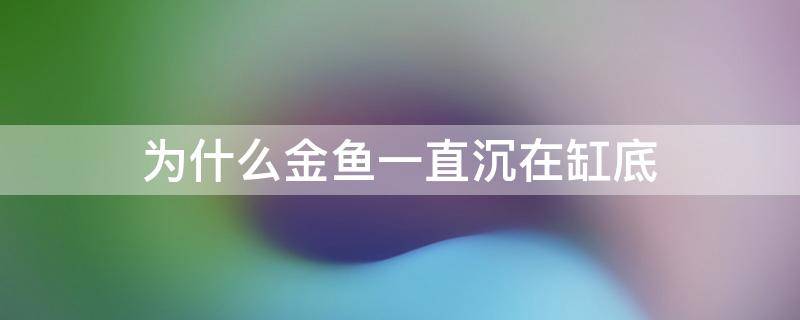 为什么金鱼一直沉在缸底