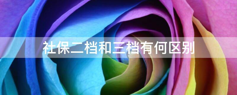社保二档和三档有何区别