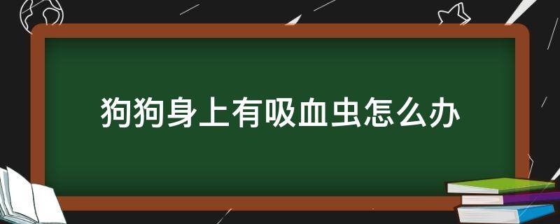狗狗身上有吸血虫怎么办